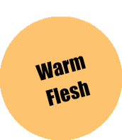 073 - Pro Acryl Warm Flesh