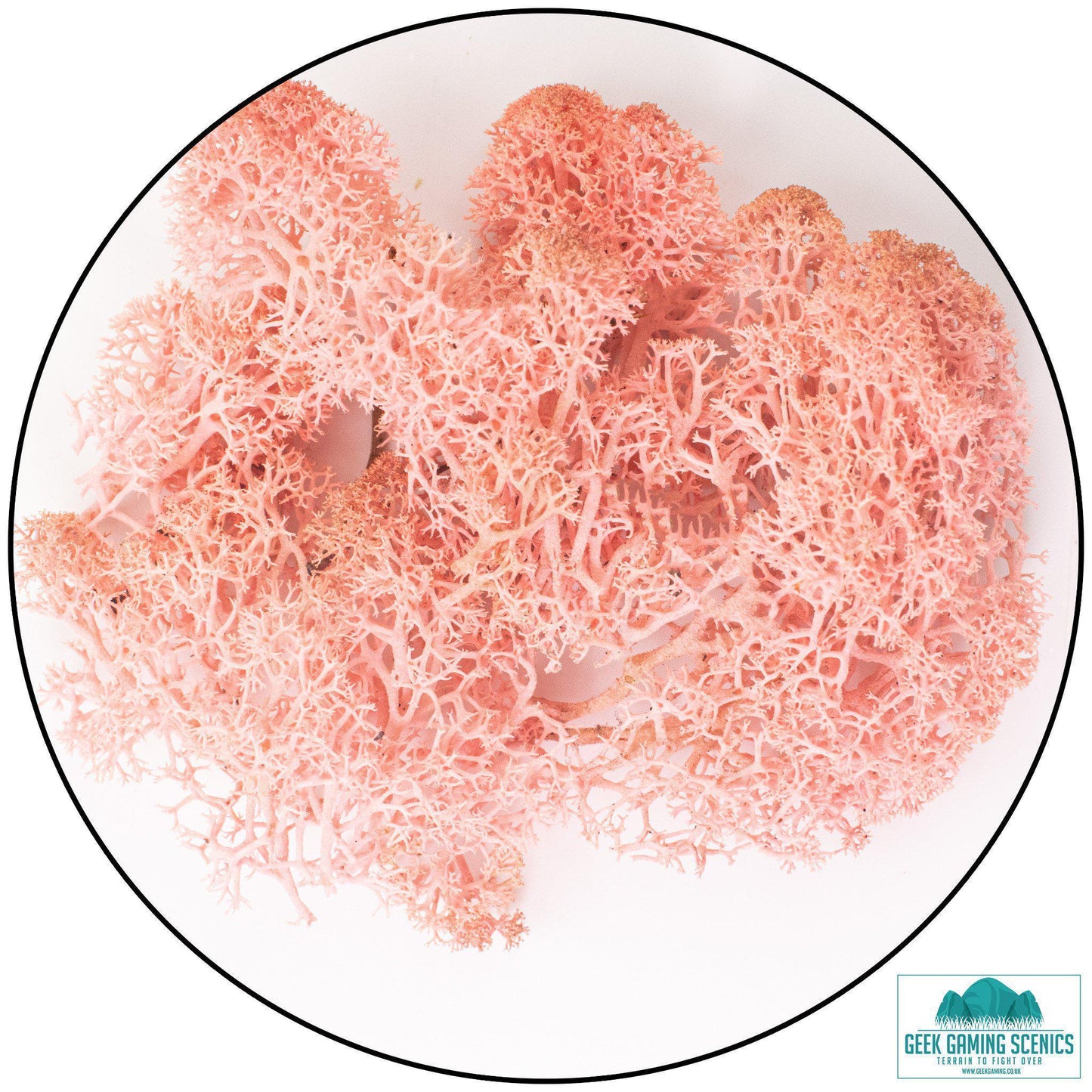Lichen - Rose