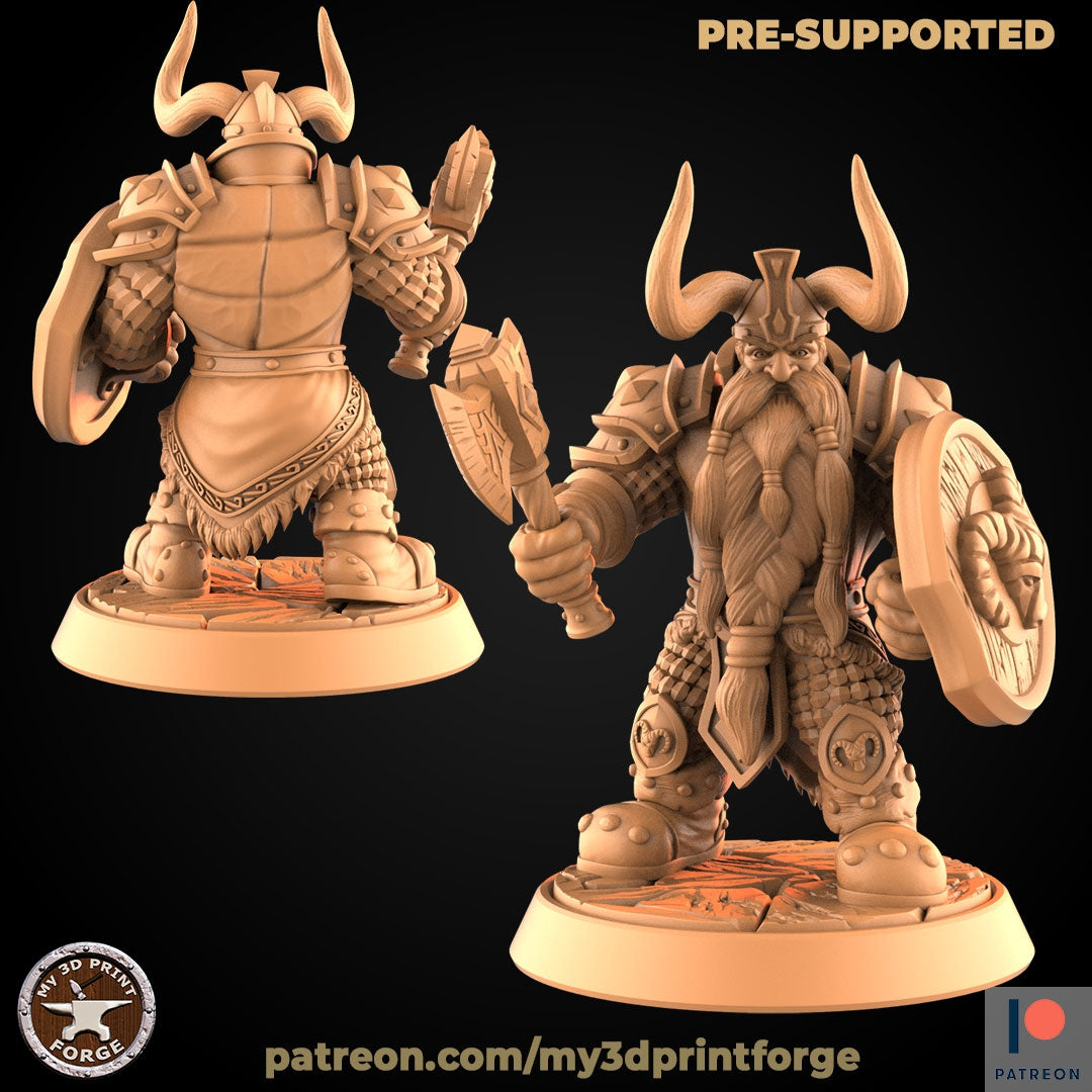 Male Dwarf Paladin V2