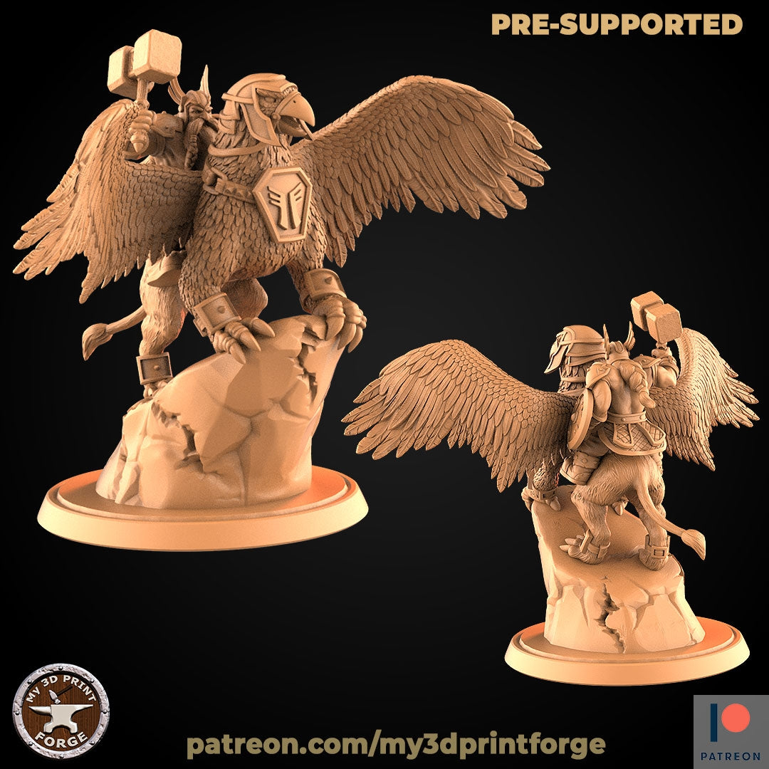 Male Dwarf Gryphon Rider