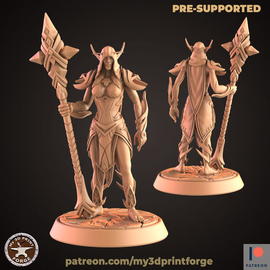 Nightborne Male First Arcanist V2