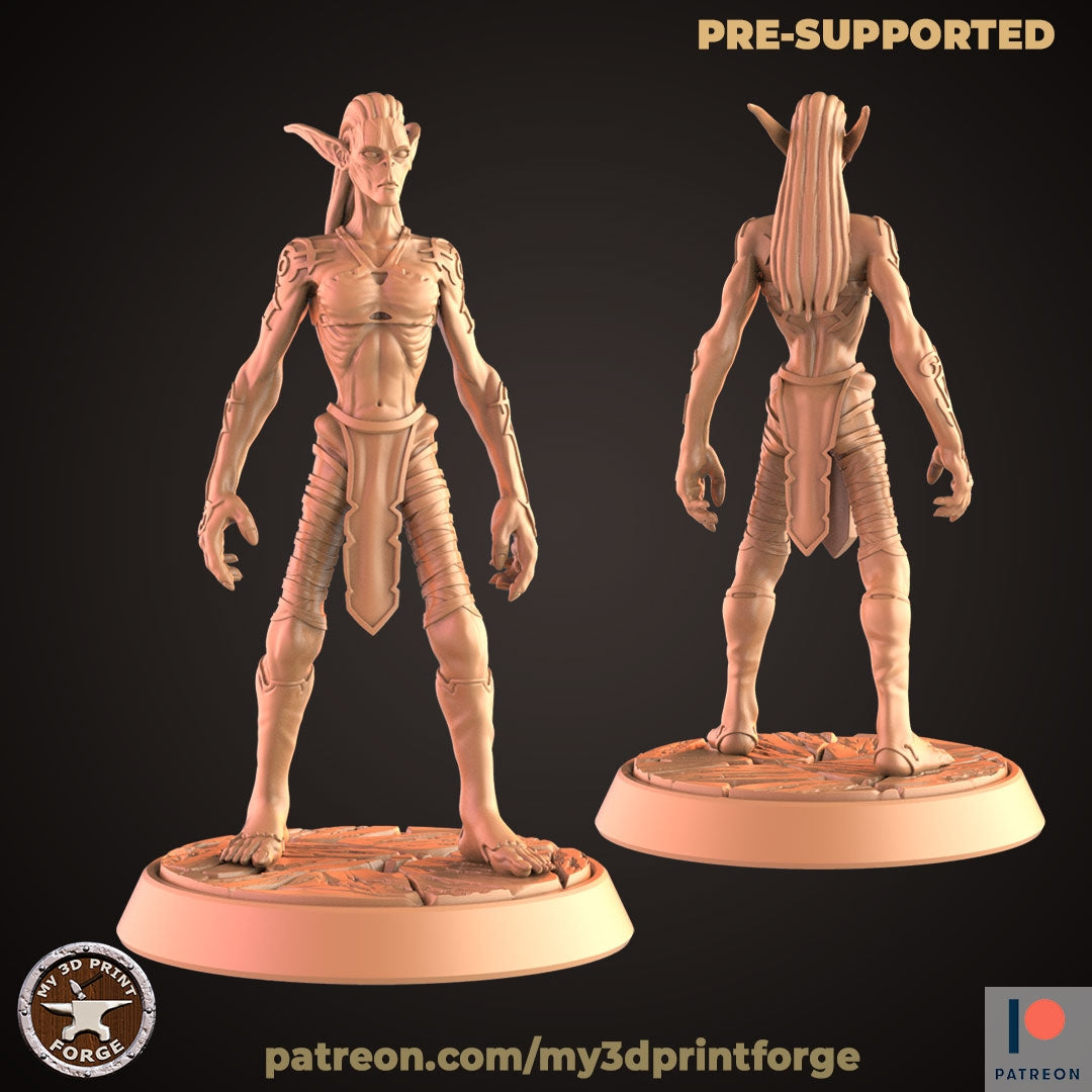 Nightfallen Female Rebel V1