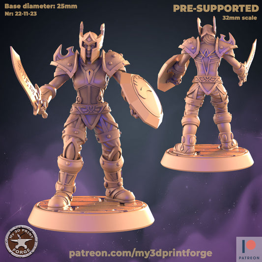 Female Valor Warrior V2