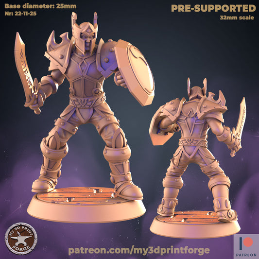 Male Valor Warrior V2