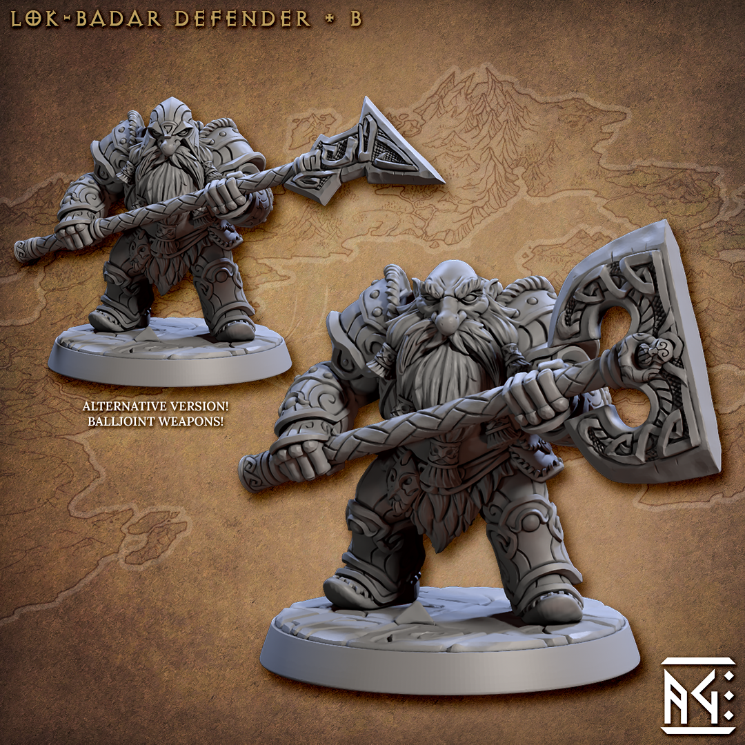 Lok-Badar Defender V2 (Set of 2)