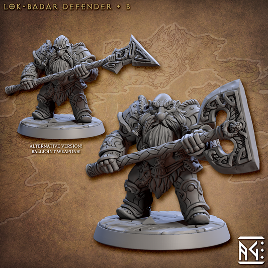 Lok-Badar Defender V2 (Set of 2)