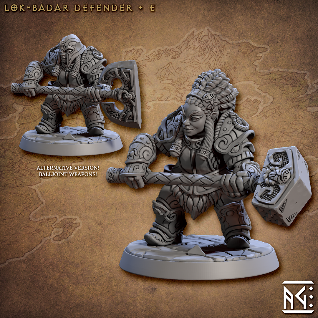 Lok-Badar Defender V5 (Set of 2)