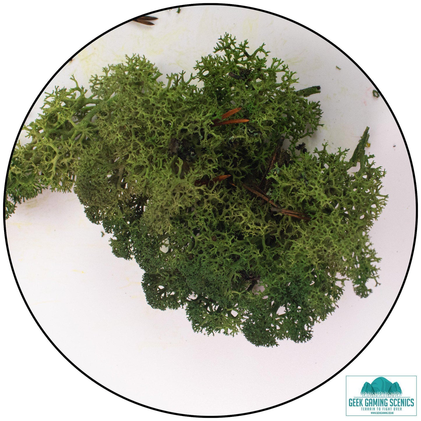 Lichen - Moss Green
