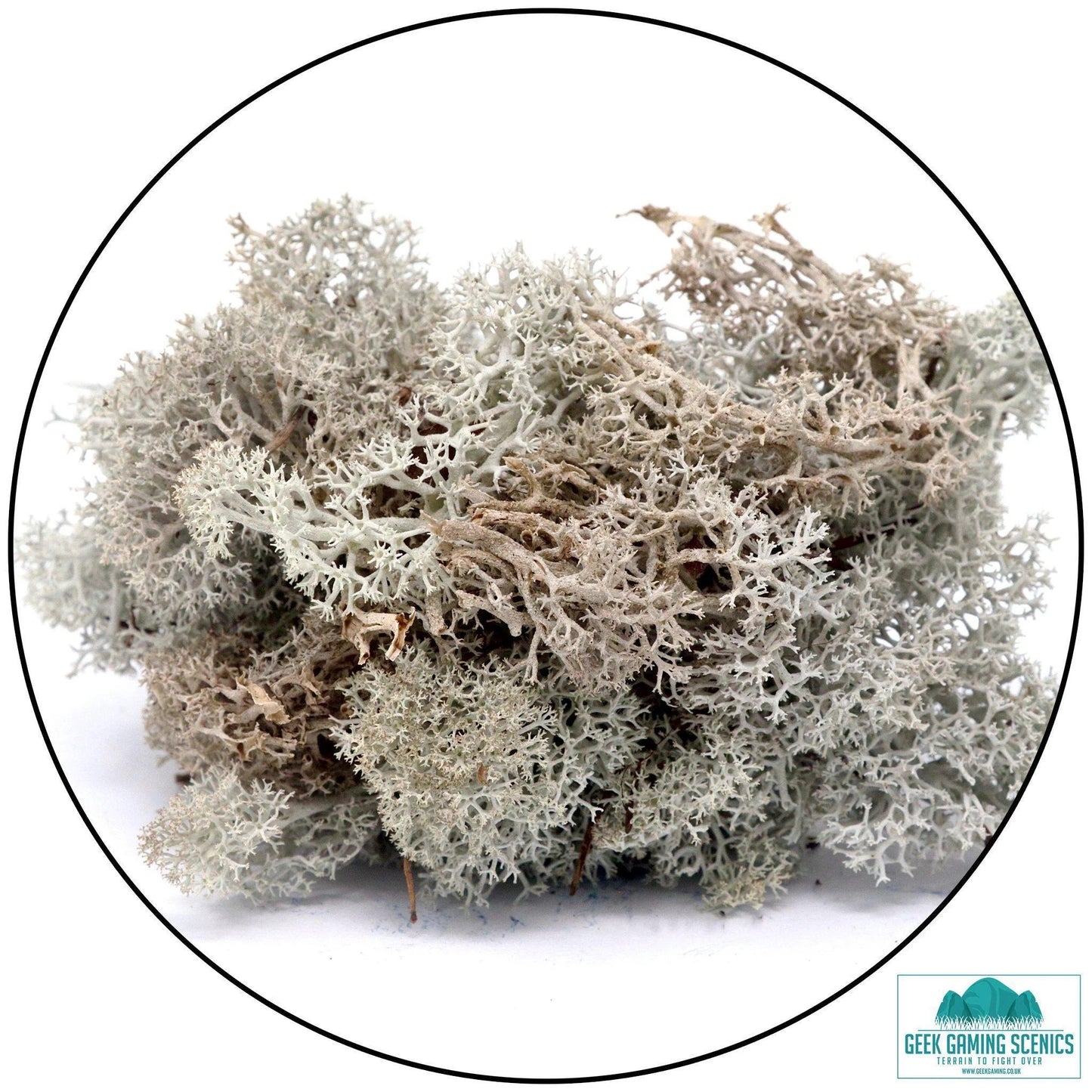 Lichen - Natural