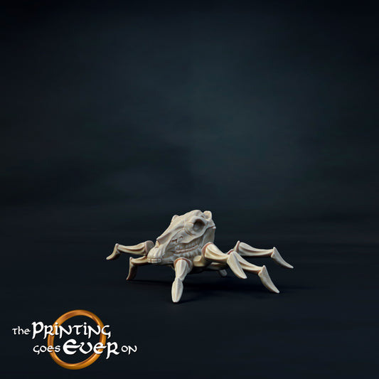 Horse Skull Spider