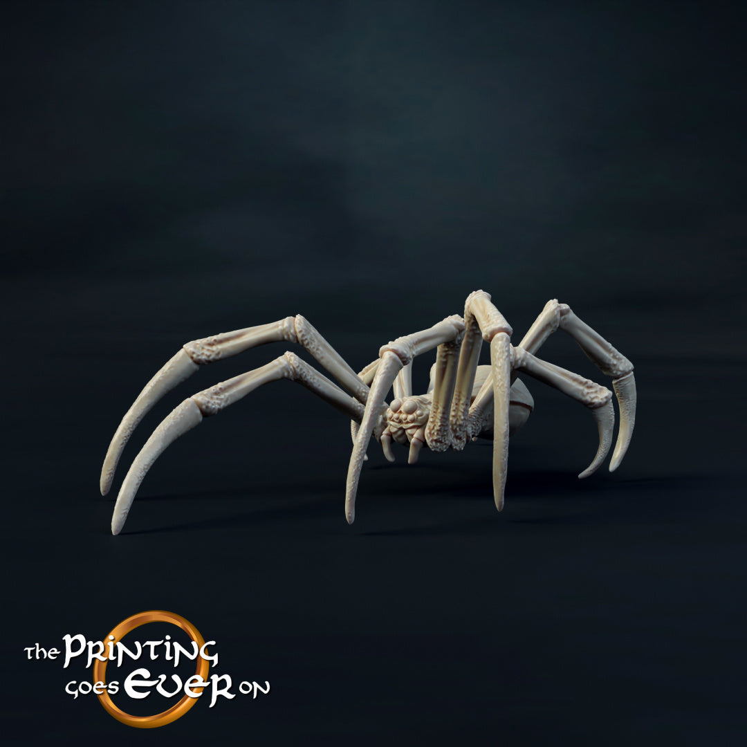 Medium Spider V1