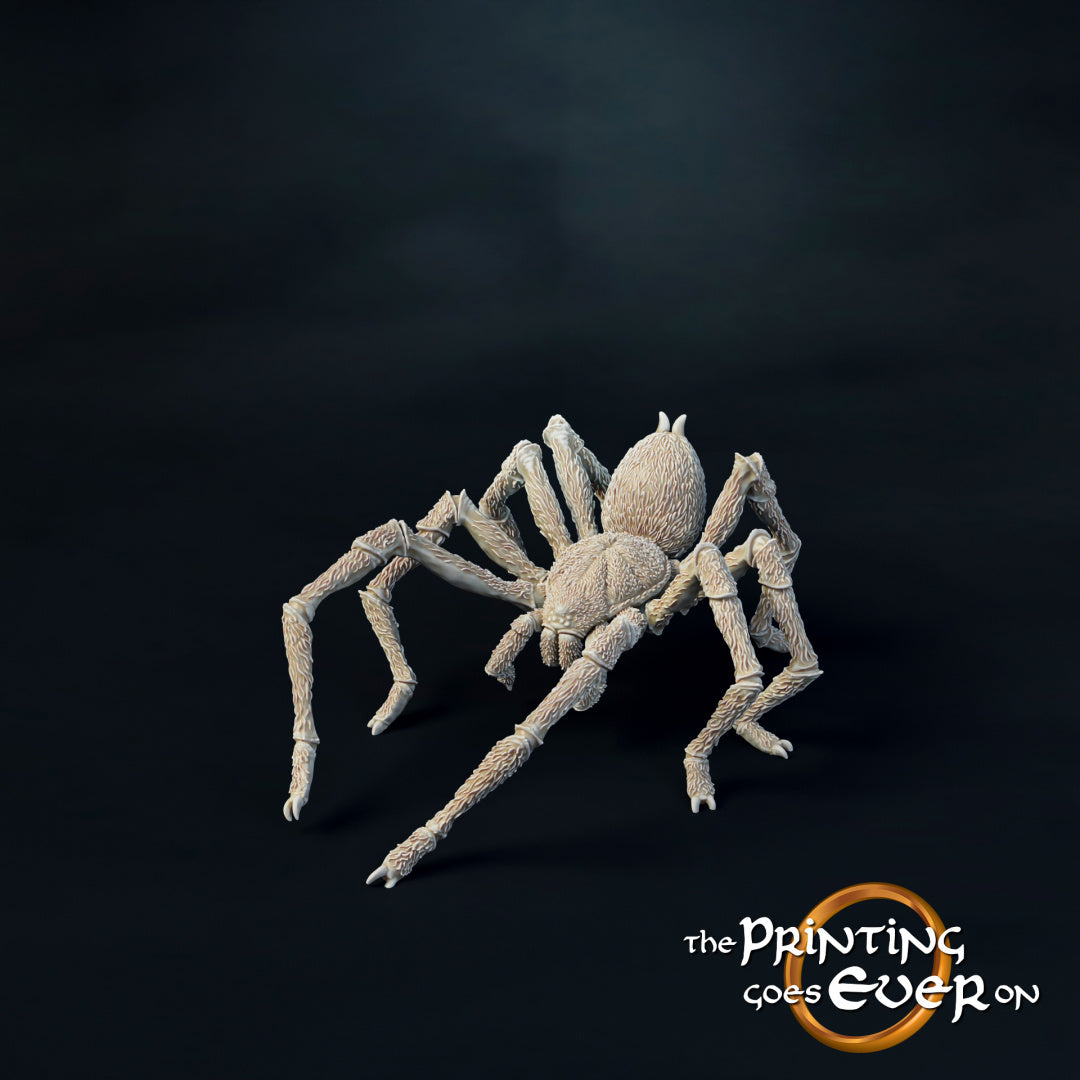 Small Spider V1