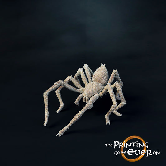 Small Spider V1