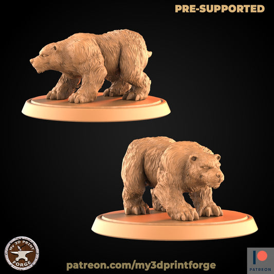 Bear V2