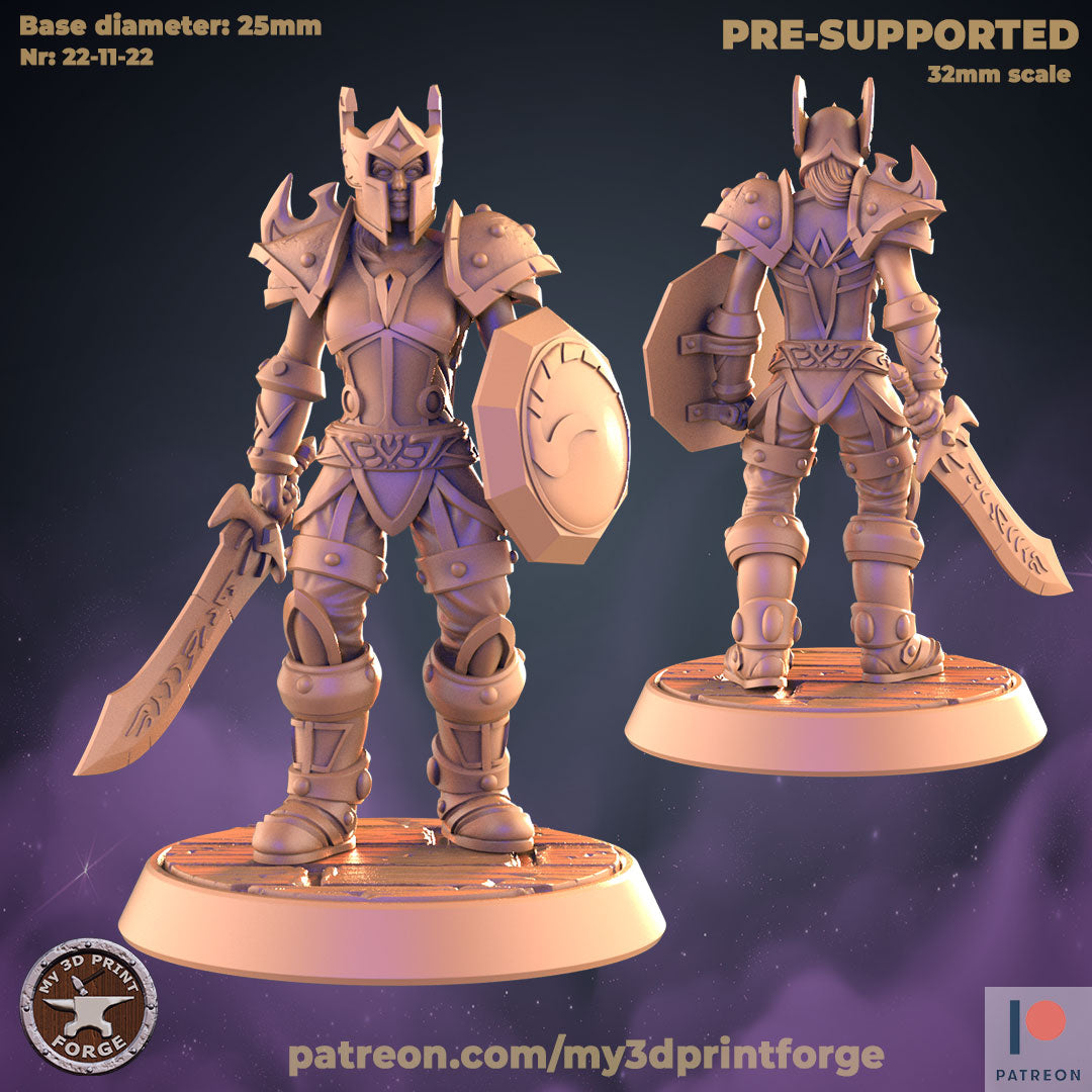 Female Valor Warrior V1