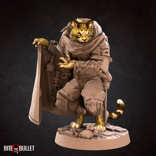 Cheat, the Smuggler Tabaxi